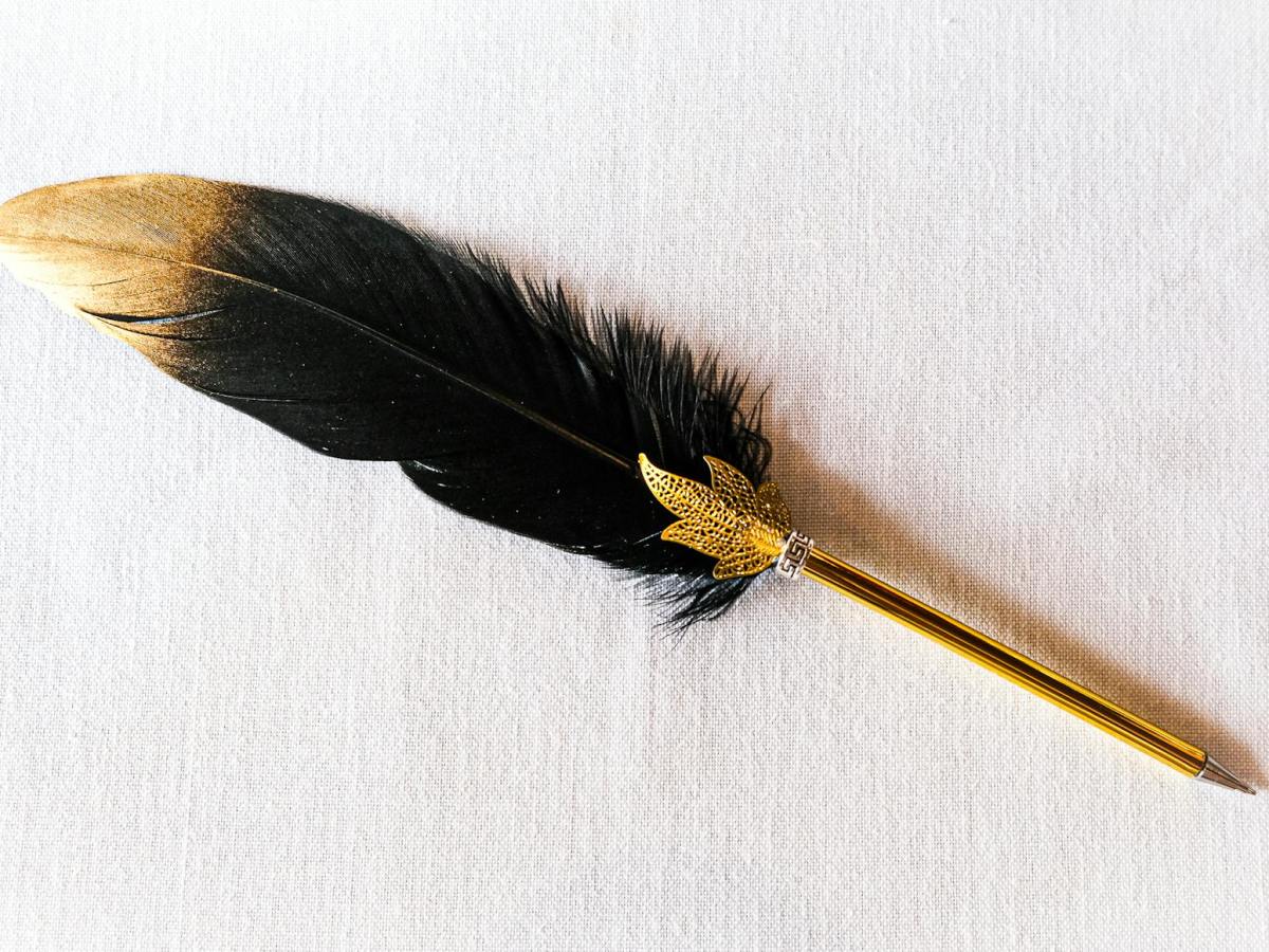 Coups de plumes : des récits courts pour entrer dans mon&nbsp;univers